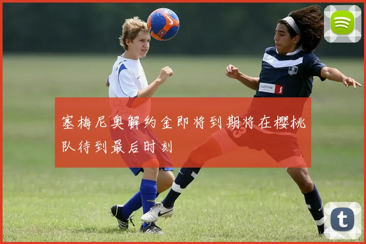 塞梅尼奥解约金即将到期将在樱桃队待到最后时刻