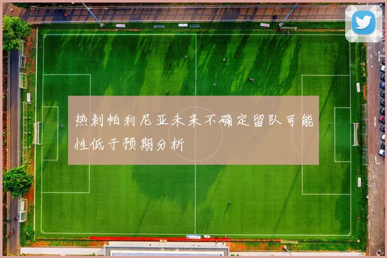热刺帕利尼亚未来不确定留队可能性低于预期分析